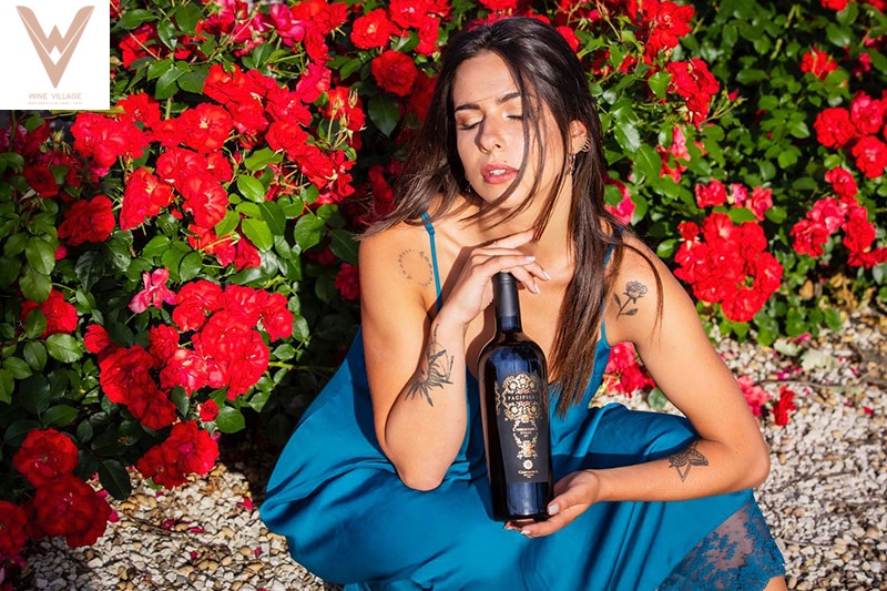 cách thưởng thức Rượu vang Pacificus Terre Siciliane Syrah